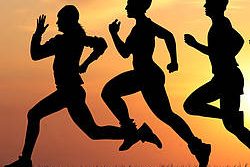 Inhouse-Training